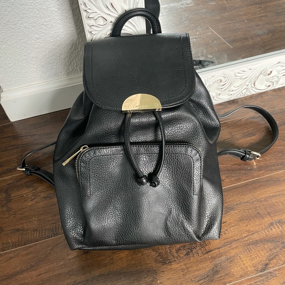 Aldo Backpack